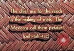 Image of reed and palm Mexico, 1941, second 18 stock footage video 65675026502