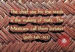 Image of reed and palm Mexico, 1941, second 19 stock footage video 65675026502