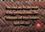 Image of reed and palm Mexico, 1941, second 20 stock footage video 65675026502