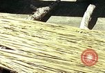 Image of reed and palm Mexico, 1941, second 21 stock footage video 65675026502