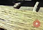 Image of reed and palm Mexico, 1941, second 22 stock footage video 65675026502