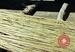 Image of reed and palm Mexico, 1941, second 23 stock footage video 65675026502