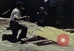 Image of reed and palm Mexico, 1941, second 26 stock footage video 65675026502