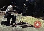 Image of reed and palm Mexico, 1941, second 27 stock footage video 65675026502