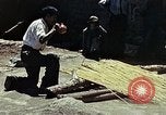 Image of reed and palm Mexico, 1941, second 28 stock footage video 65675026502