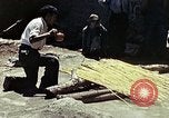 Image of reed and palm Mexico, 1941, second 31 stock footage video 65675026502