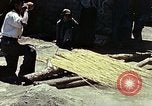 Image of reed and palm Mexico, 1941, second 33 stock footage video 65675026502