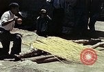 Image of reed and palm Mexico, 1941, second 34 stock footage video 65675026502