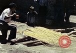 Image of reed and palm Mexico, 1941, second 35 stock footage video 65675026502