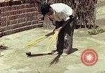 Image of reed and palm Mexico, 1941, second 39 stock footage video 65675026502