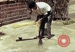 Image of reed and palm Mexico, 1941, second 40 stock footage video 65675026502