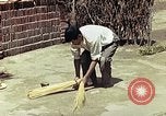 Image of reed and palm Mexico, 1941, second 41 stock footage video 65675026502