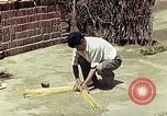 Image of reed and palm Mexico, 1941, second 43 stock footage video 65675026502
