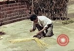 Image of reed and palm Mexico, 1941, second 50 stock footage video 65675026502