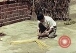 Image of reed and palm Mexico, 1941, second 51 stock footage video 65675026502