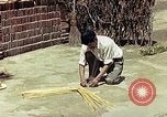 Image of reed and palm Mexico, 1941, second 52 stock footage video 65675026502
