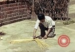 Image of reed and palm Mexico, 1941, second 54 stock footage video 65675026502