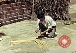 Image of reed and palm Mexico, 1941, second 55 stock footage video 65675026502
