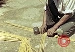 Image of reed and palm Mexico, 1941, second 59 stock footage video 65675026502