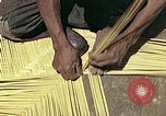 Image of reed and palm Mexico, 1941, second 16 stock footage video 65675026503