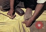 Image of reed and palm Mexico, 1941, second 18 stock footage video 65675026503