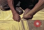 Image of reed and palm Mexico, 1941, second 19 stock footage video 65675026503