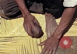 Image of reed and palm Mexico, 1941, second 20 stock footage video 65675026503