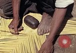Image of reed and palm Mexico, 1941, second 21 stock footage video 65675026503