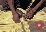 Image of reed and palm Mexico, 1941, second 22 stock footage video 65675026503