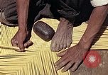 Image of reed and palm Mexico, 1941, second 23 stock footage video 65675026503