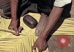 Image of reed and palm Mexico, 1941, second 24 stock footage video 65675026503