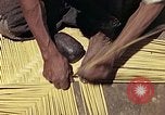Image of reed and palm Mexico, 1941, second 25 stock footage video 65675026503