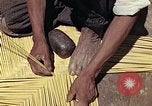 Image of reed and palm Mexico, 1941, second 26 stock footage video 65675026503