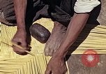 Image of reed and palm Mexico, 1941, second 31 stock footage video 65675026503