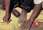 Image of reed and palm Mexico, 1941, second 33 stock footage video 65675026503