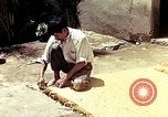 Image of reed and palm Mexico, 1941, second 51 stock footage video 65675026503