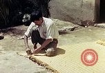 Image of reed and palm Mexico, 1941, second 55 stock footage video 65675026503
