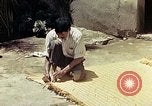 Image of reed and palm Mexico, 1941, second 57 stock footage video 65675026503