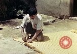 Image of reed and palm Mexico, 1941, second 58 stock footage video 65675026503