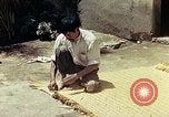 Image of reed and palm Mexico, 1941, second 60 stock footage video 65675026503