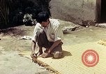 Image of reed and palm Mexico, 1941, second 62 stock footage video 65675026503