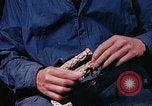 Standbild Reed und Palm Mexiko, 1941, aus Sekunde 15 historischem Filmmaterial Videoclip 65675026504