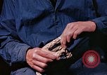Standbild Reed und Palm Mexiko, 1941, aus Sekunde 16 historischem Filmmaterial Videoclip 65675026504