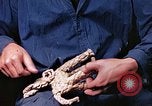 Standbild Reed und Palm Mexiko, 1941, aus Sekunde 18 historischem Filmmaterial Videoclip 65675026504