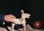 Standbild Reed und Palm Mexiko, 1941, aus Sekunde 26 historischem Filmmaterial Videoclip 65675026504