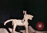 Standbild Reed und Palm Mexiko, 1941, aus Sekunde 28 historischem Filmmaterial Videoclip 65675026504