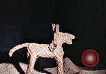 Standbild Reed und Palm Mexiko, 1941, aus Sekunde 29 historischem Filmmaterial Videoclip 65675026504