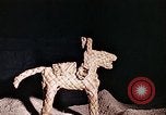 Standbild Reed und Palm Mexiko, 1941, aus Sekunde 33 historischem Filmmaterial Videoclip 65675026504