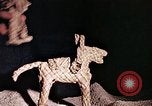 Standbild Reed und Palm Mexiko, 1941, aus Sekunde 34 historischem Filmmaterial Videoclip 65675026504