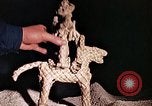 Standbild Reed und Palm Mexiko, 1941, aus Sekunde 35 historischem Filmmaterial Videoclip 65675026504